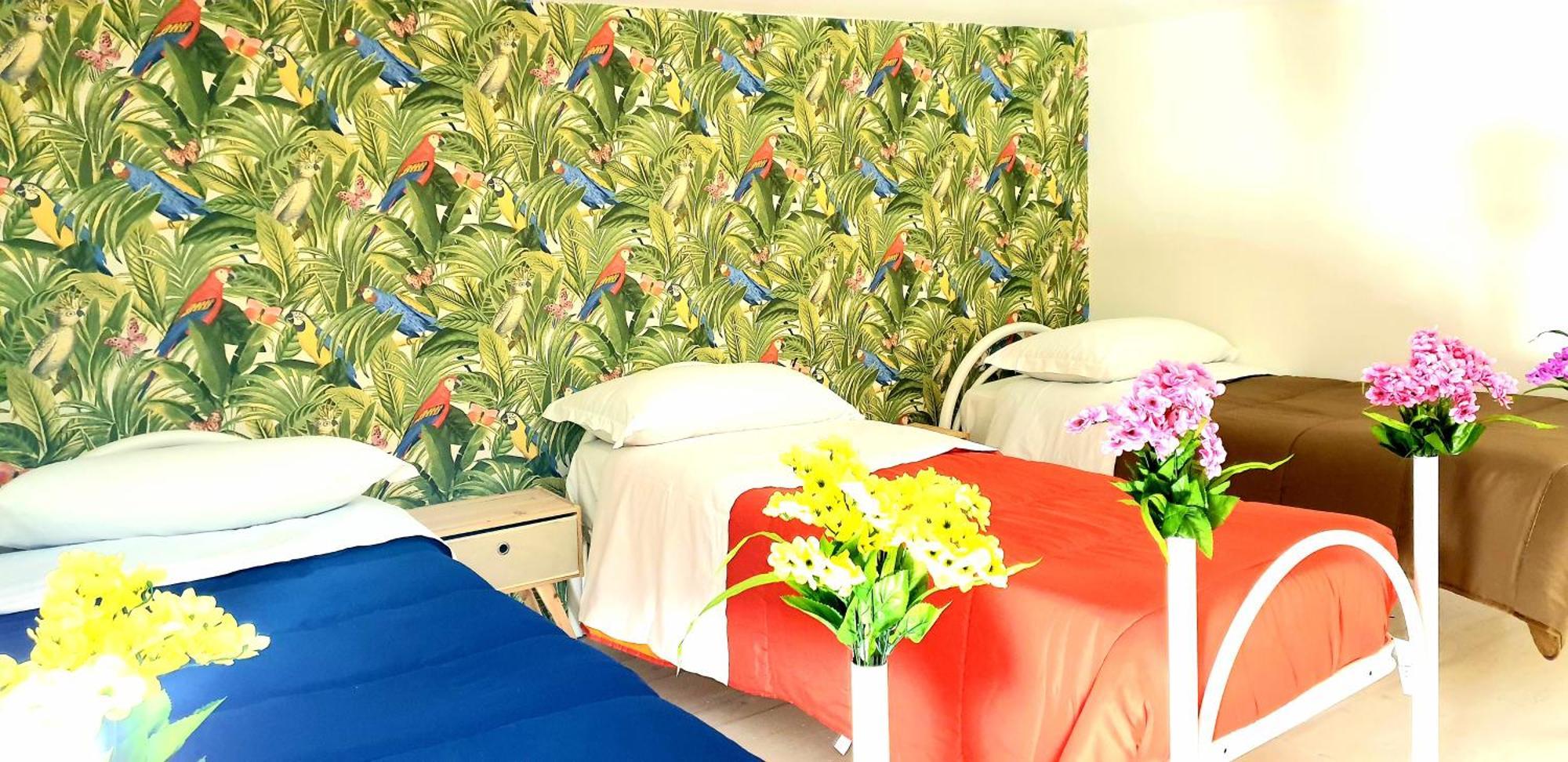 B&B Napoli Citta 客房 照片
